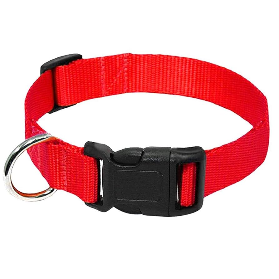 Collar para Perros - RojoEs